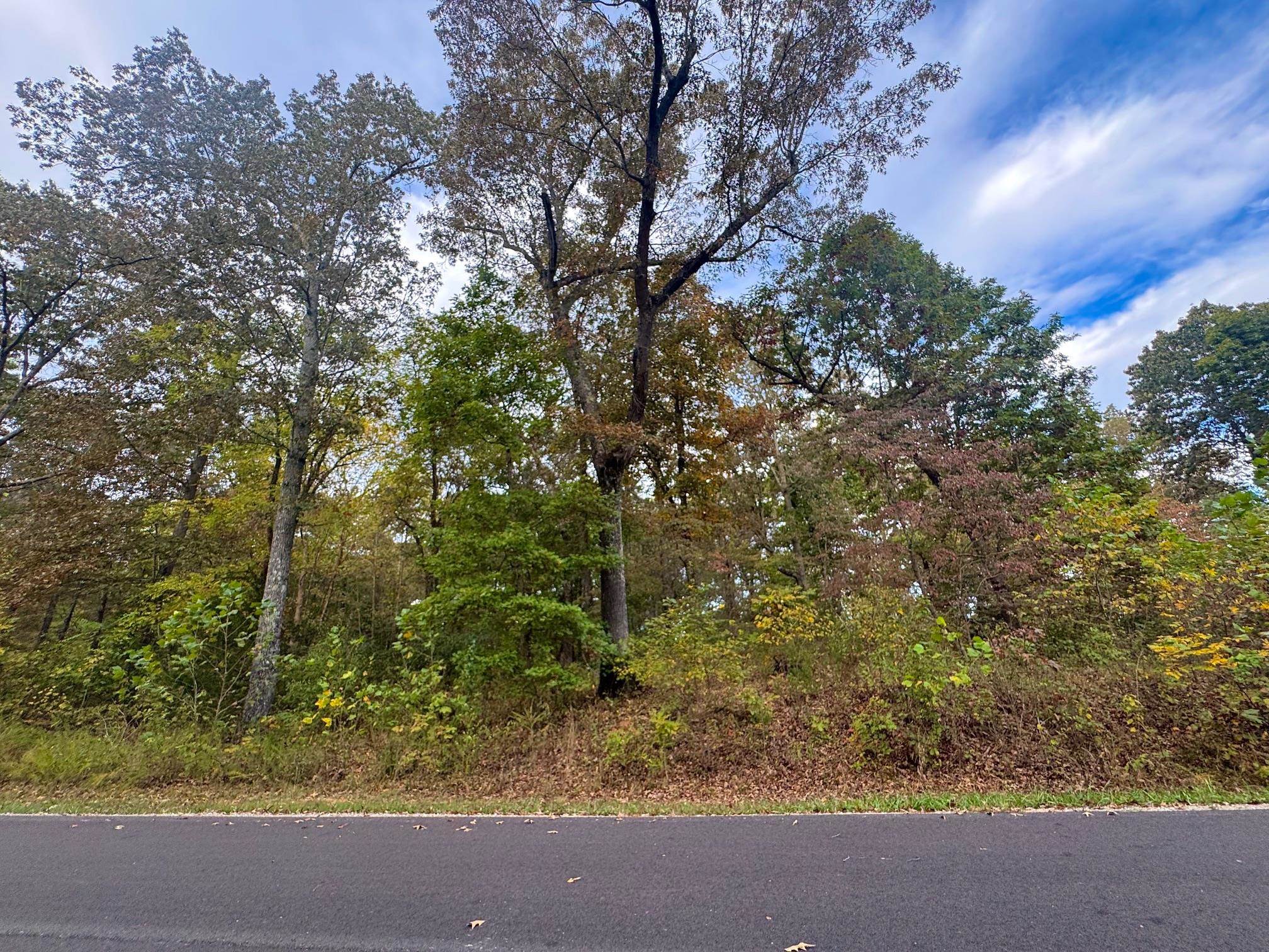 Photo 8 - Vacant Land for sale – Lot 29  Goodwin Cove Lot 29, Goodwin Cove, Secluded Estates  Ash Flat, AR
