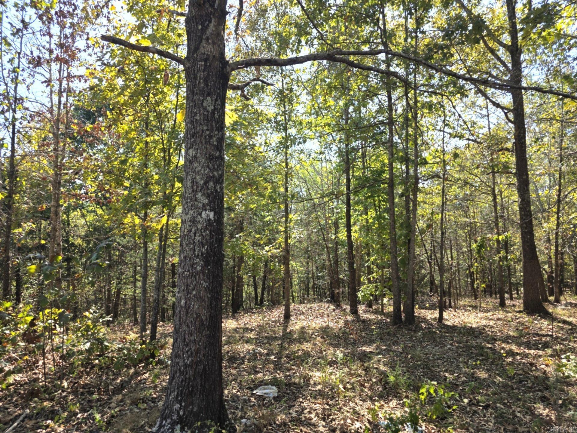 Photo 49 - Residential for sale – 16  Madonna   Hardy, AR