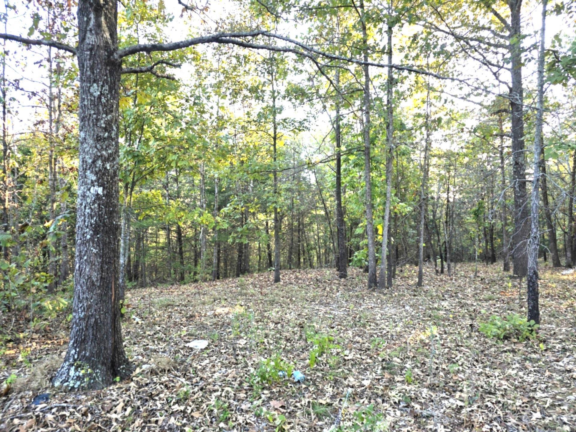 Photo 50 - Residential for sale – 16  Madonna   Hardy, AR