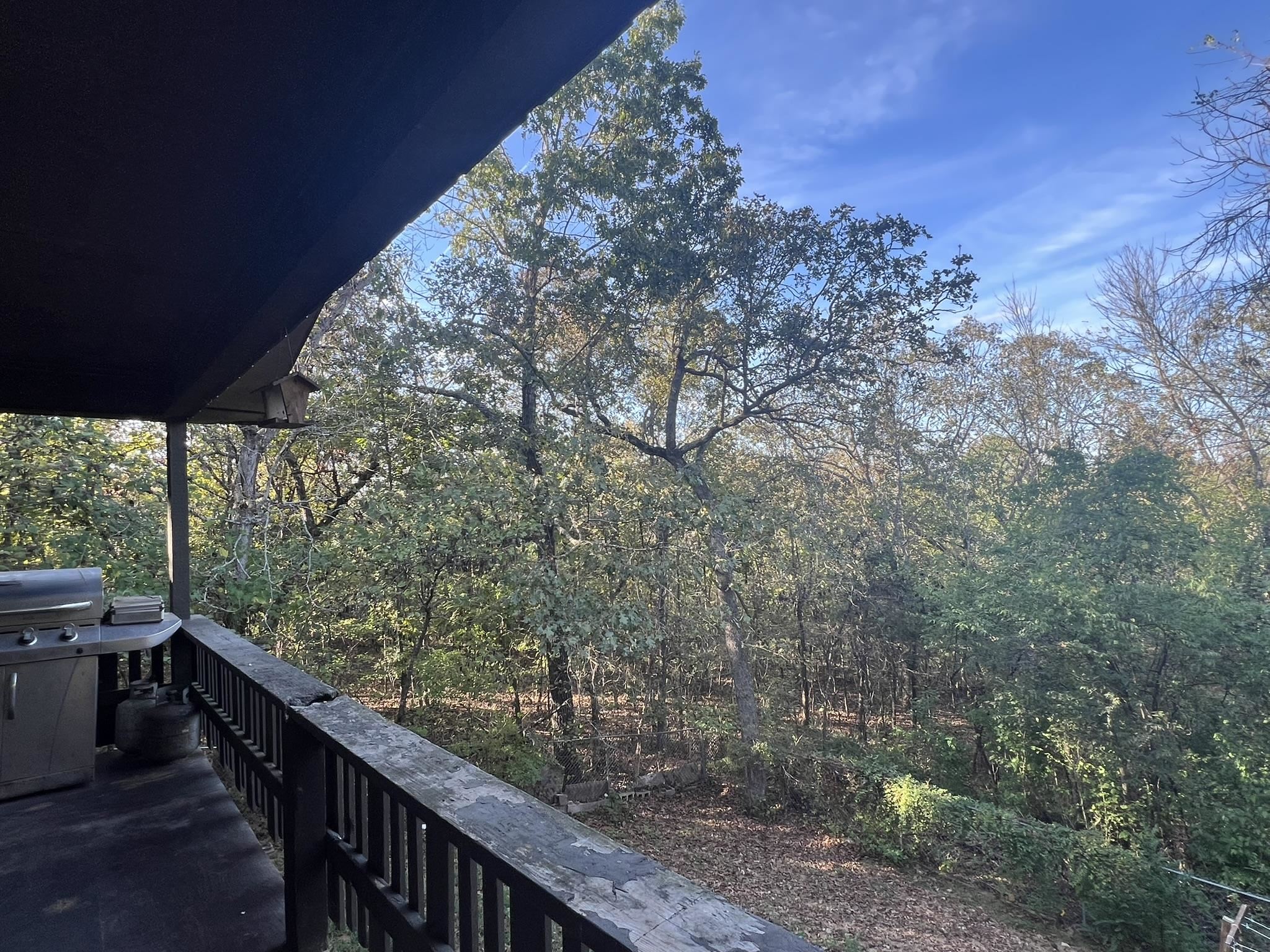 Photo 43 - Residential for sale – 129  Wahoo Dr   Cherokee Village, AR