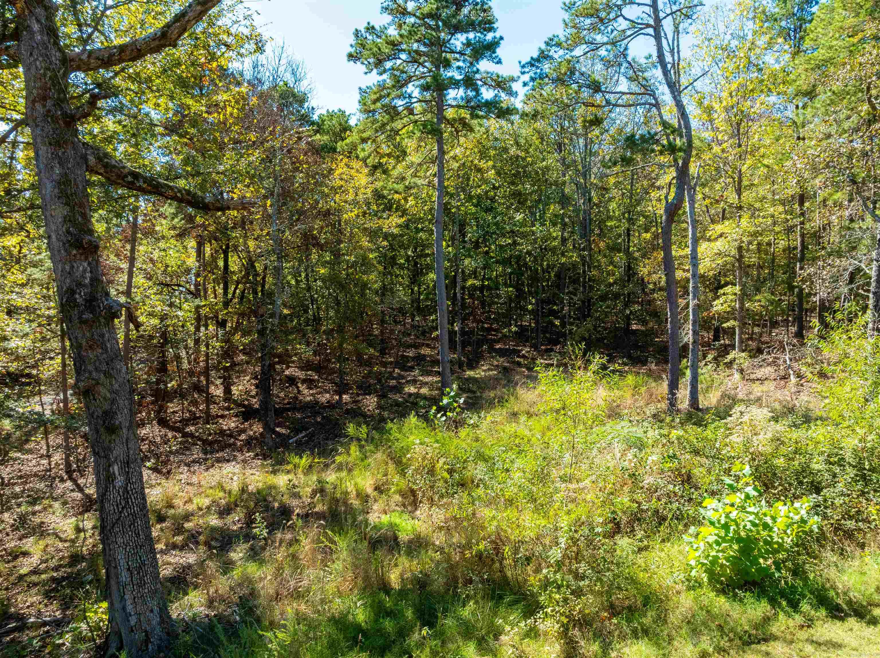 Photo 37 - Residential for sale – 229  Veterans   Evening Shade, AR