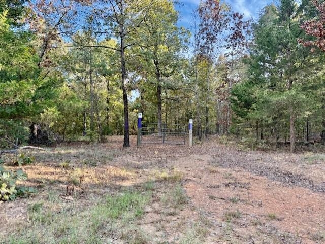 Photo 3 - Vacant Land for sale – 000  Love   Franklin, AR