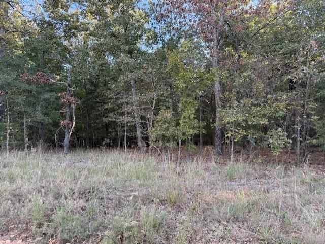 Photo 7 - Vacant Land for sale – 000  Love   Franklin, AR