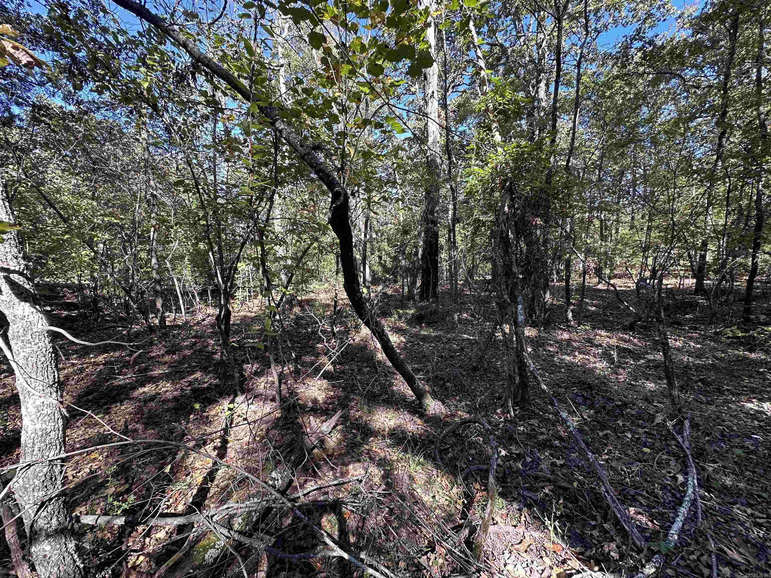 Vacant Land for sale – 1406  Parkway Ln   Horseshoe Bend, AR