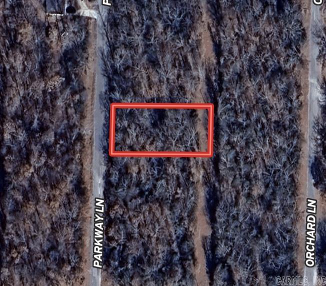 Photo 2 - Vacant Land for sale – 1406  Parkway Ln   Horseshoe Bend, AR