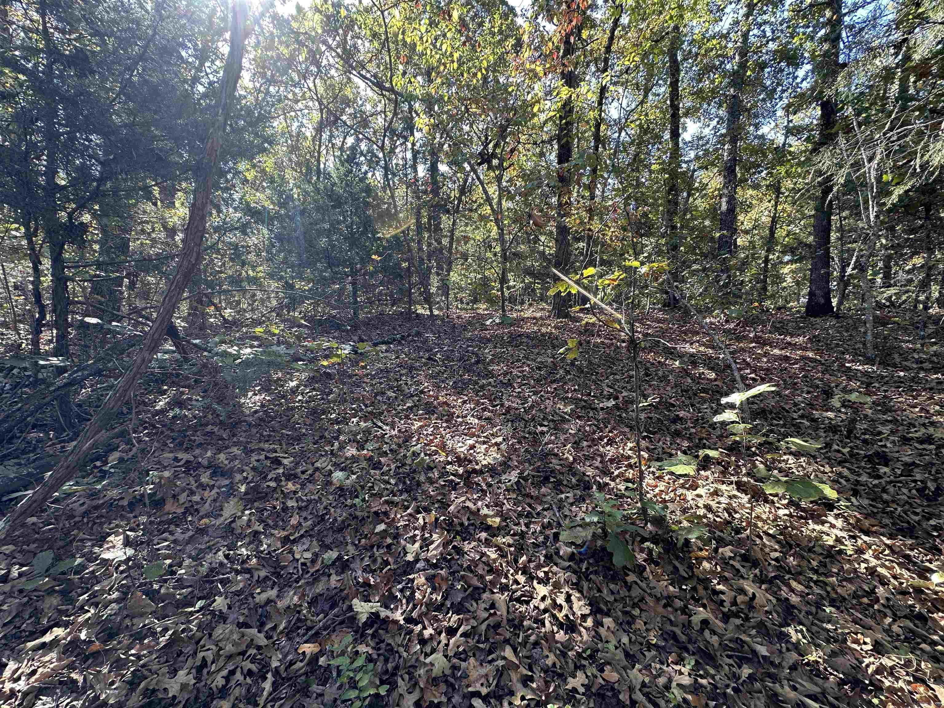 Photo 3 - Vacant Land for sale – 1406  Parkway Ln   Horseshoe Bend, AR