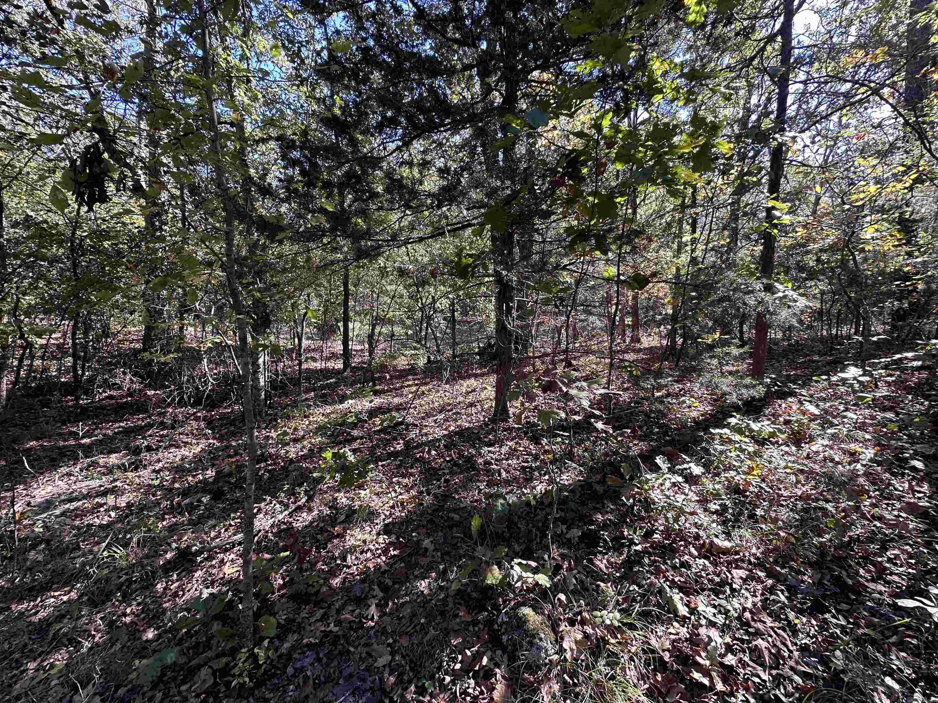 Photo 4 - Vacant Land for sale – 1406  Parkway Ln   Horseshoe Bend, AR