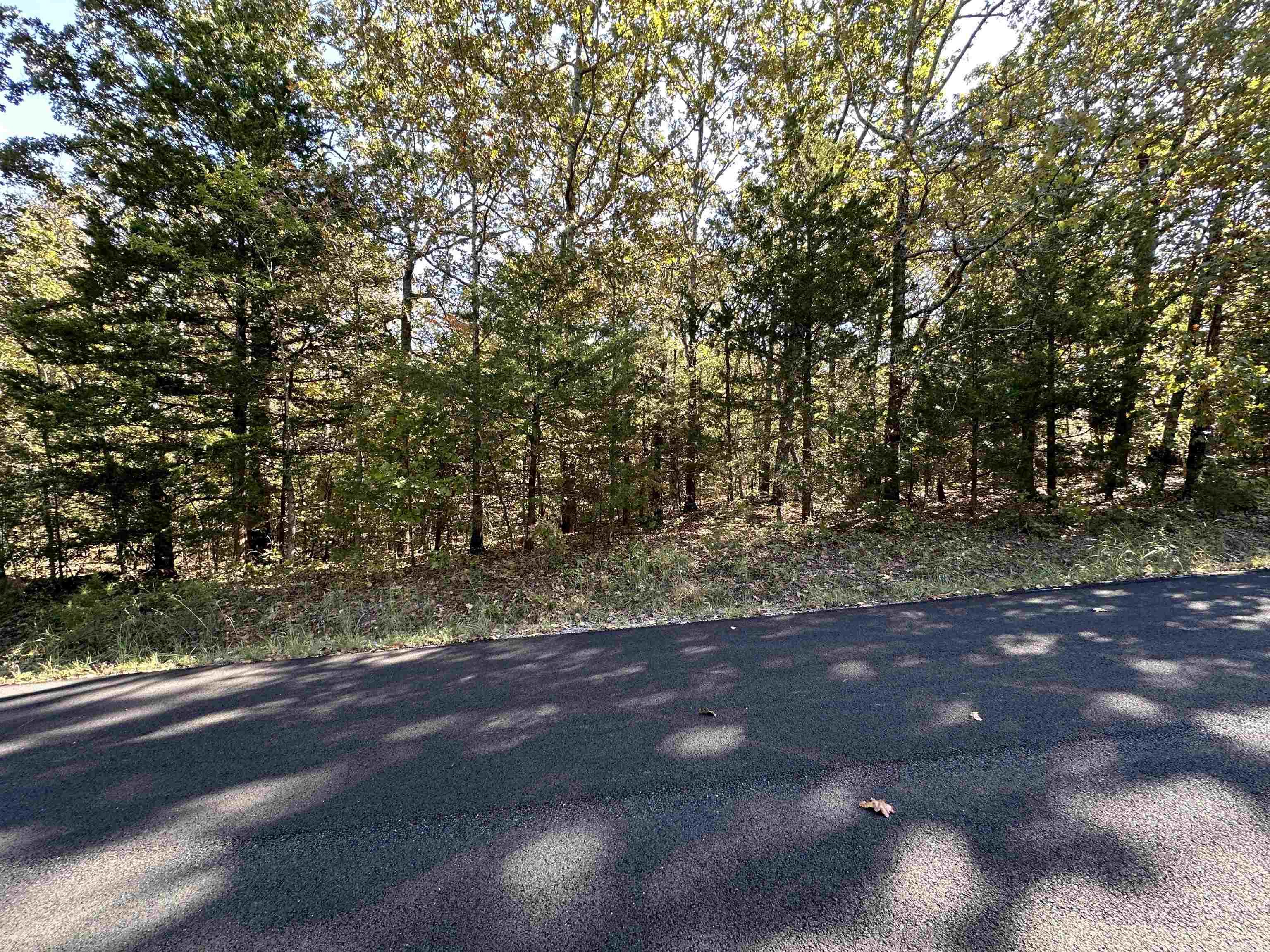 Photo 5 - Vacant Land for sale – 1406  Parkway Ln   Horseshoe Bend, AR