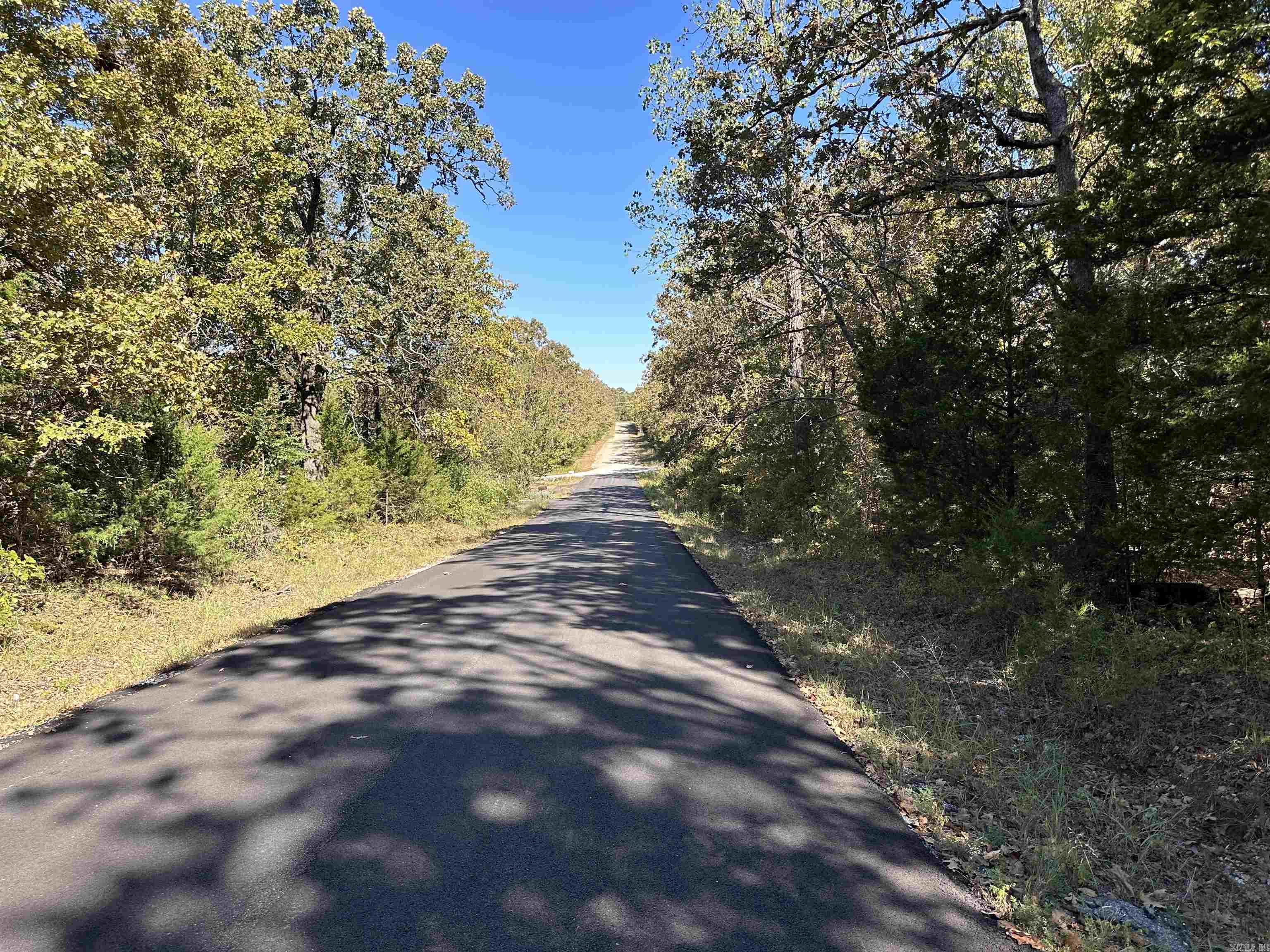 Photo 6 - Vacant Land for sale – 1406  Parkway Ln   Horseshoe Bend, AR