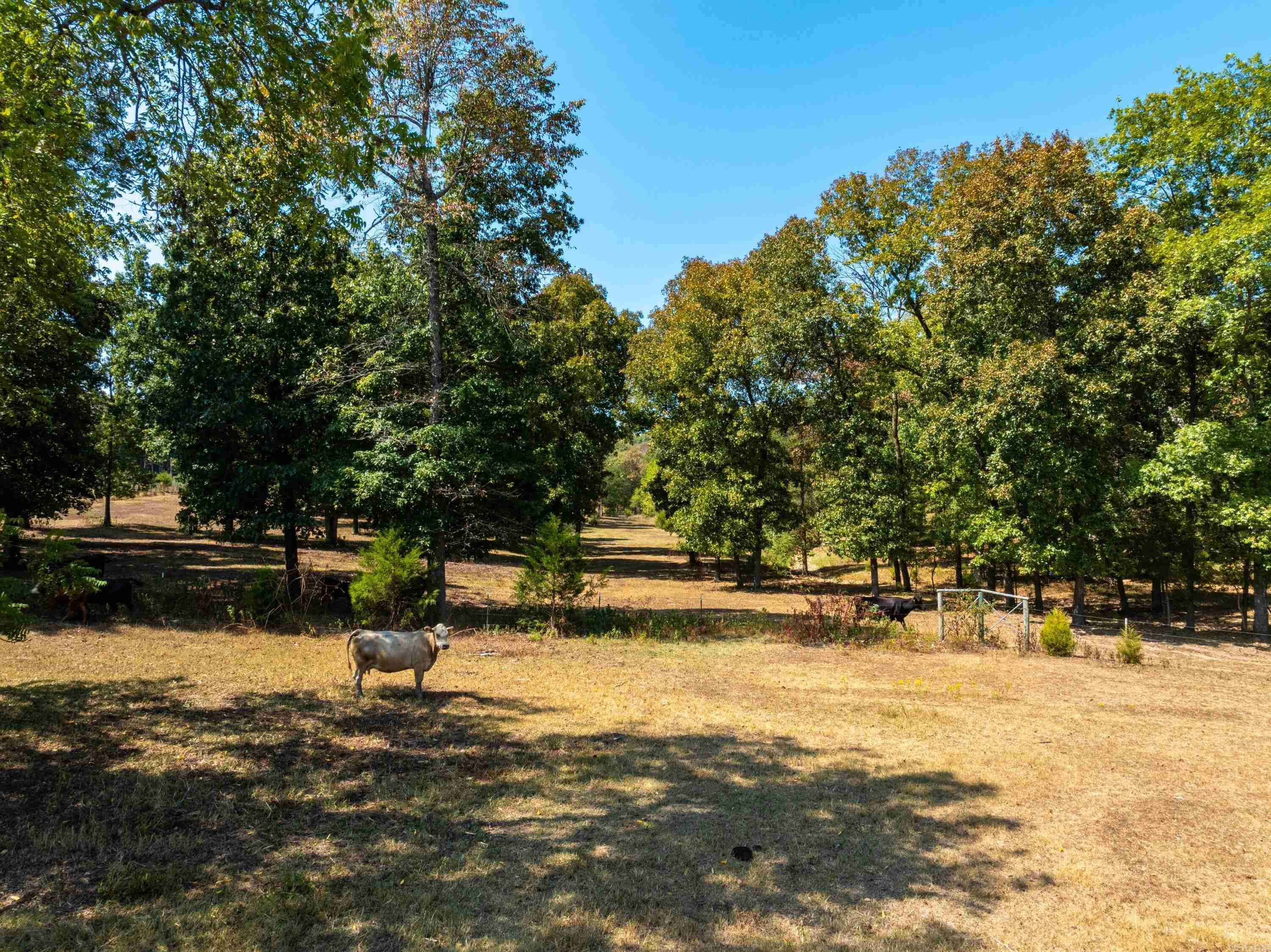 Photo 38 - Residential for sale – 345  Backbone Road   Evening Shade, AR