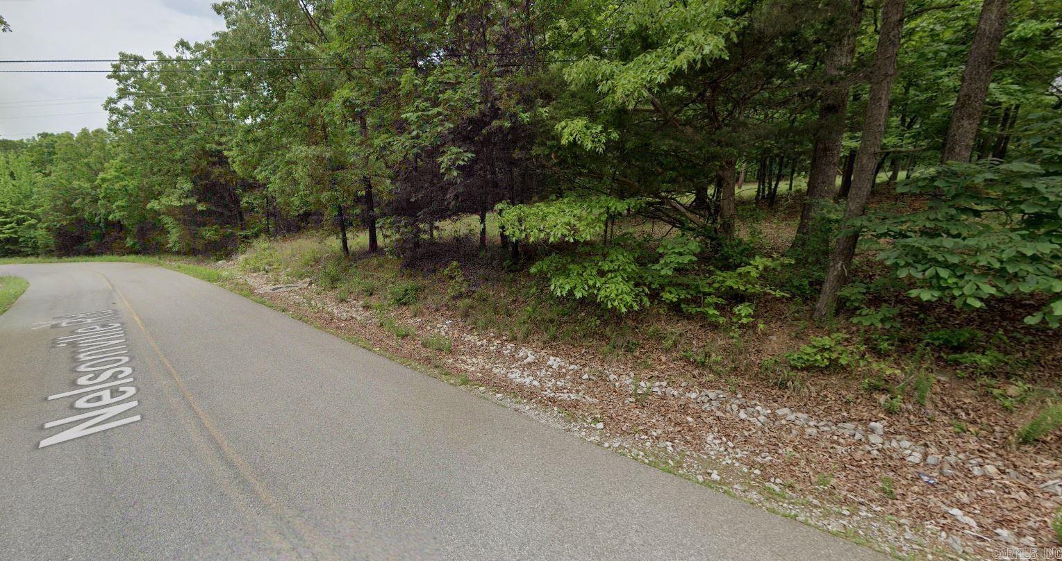 Photo 2 - Vacant Land for sale – Lot 135  Nelsonville   Smithville, AR