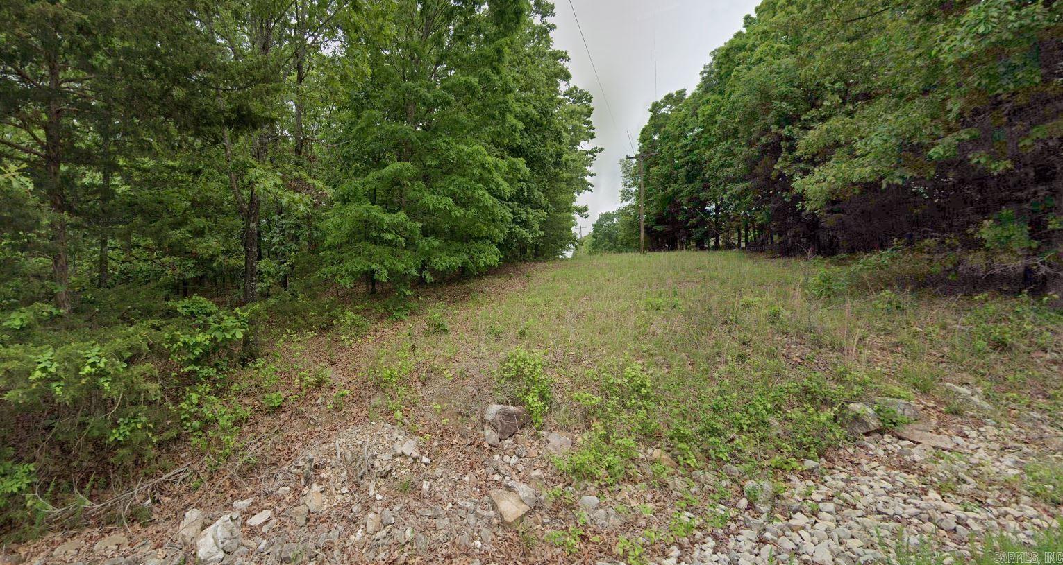 Photo 4 - Vacant Land for sale – Lot 135  Nelsonville   Smithville, AR