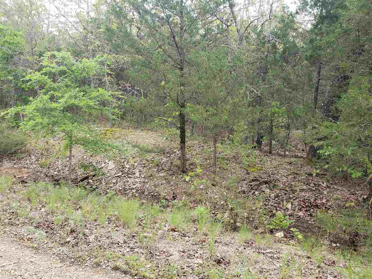 Vacant Land for sale – L-9 B-10  Pahokee   Cherokee Village, AR