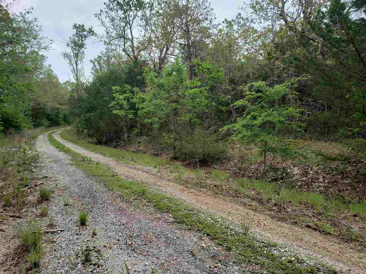 Photo 2 - Vacant Land for sale – L-9 B-10  Pahokee   Cherokee Village, AR
