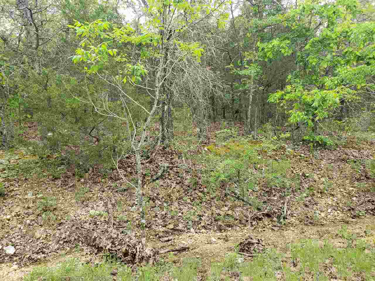 Photo 11 - Vacant Land for sale – L-9 B-10  Pahokee   Cherokee Village, AR