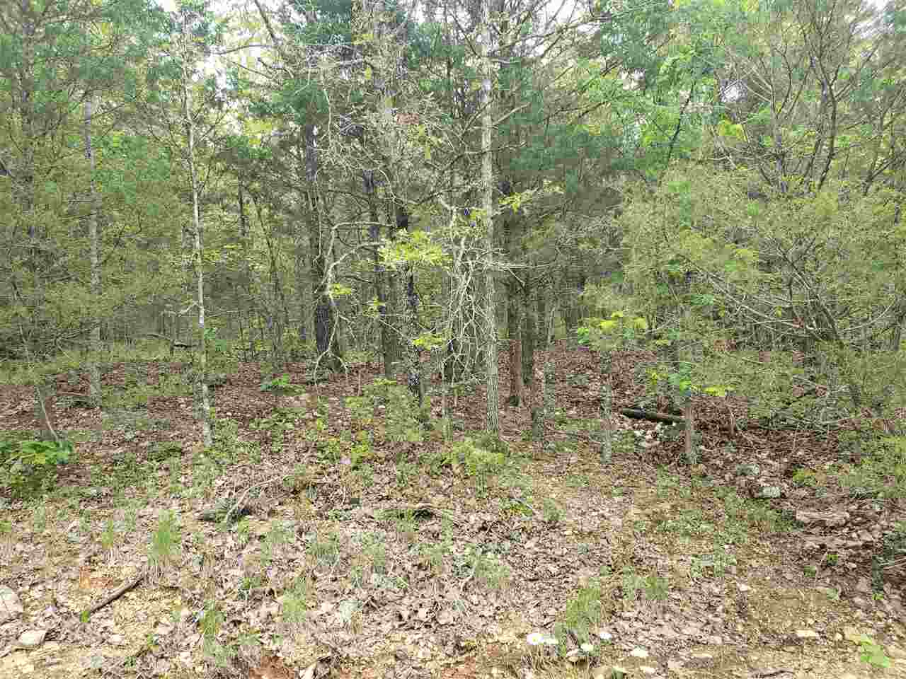 Photo 12 - Vacant Land for sale – L-9 B-10  Pahokee   Cherokee Village, AR
