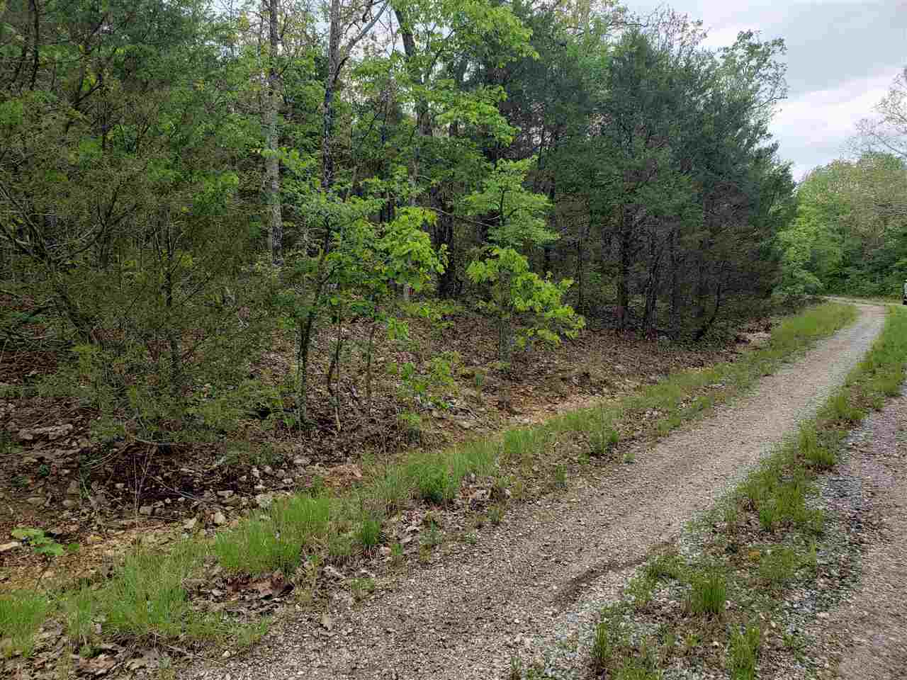 Photo 13 - Vacant Land for sale – L-9 B-10  Pahokee   Cherokee Village, AR
