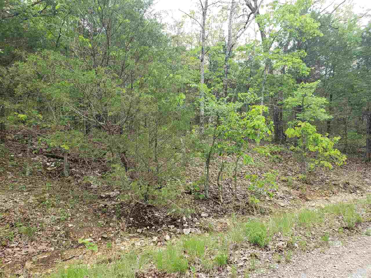 Photo 14 - Vacant Land for sale – L-9 B-10  Pahokee   Cherokee Village, AR