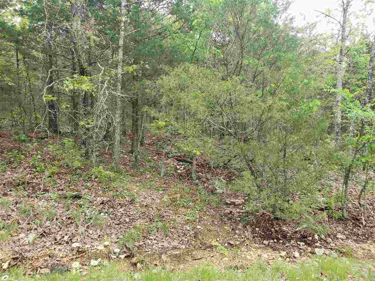 Photo 15 - Vacant Land for sale – L-9 B-10  Pahokee   Cherokee Village, AR