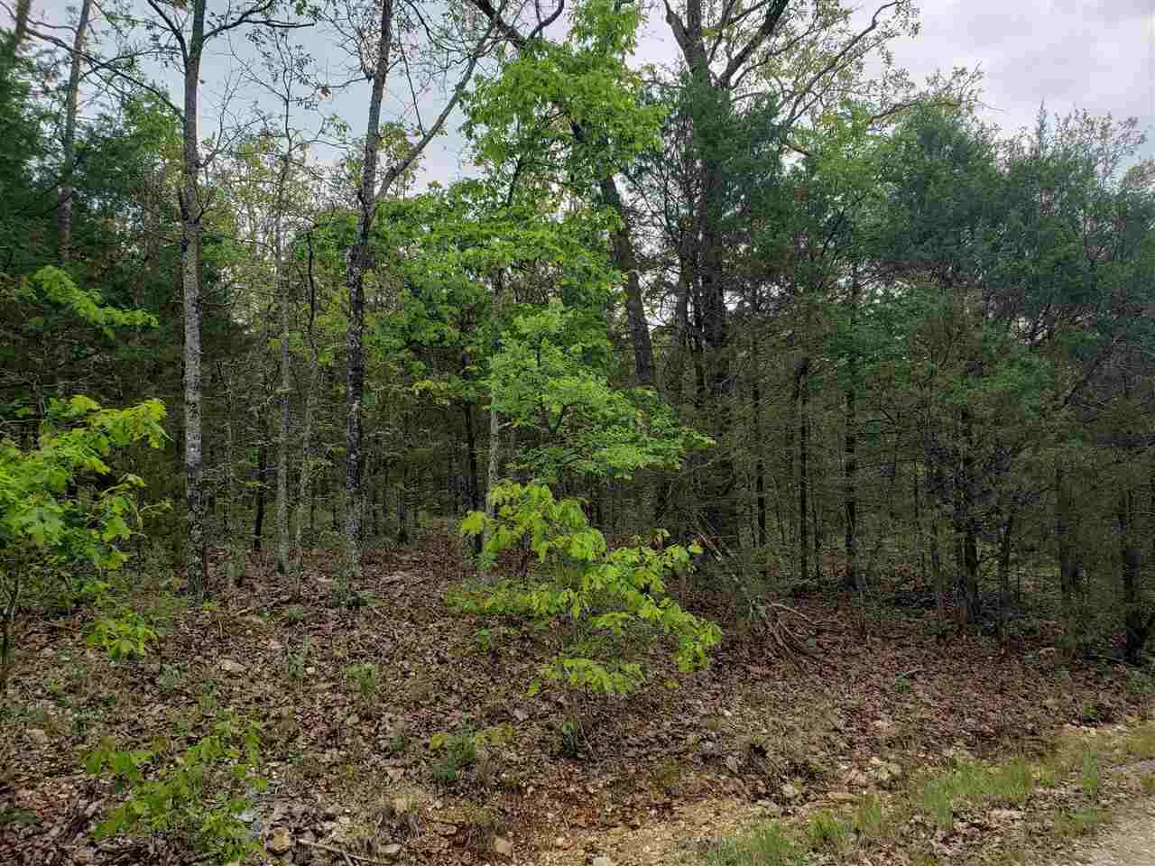 Photo 16 - Vacant Land for sale – L-9 B-10  Pahokee   Cherokee Village, AR