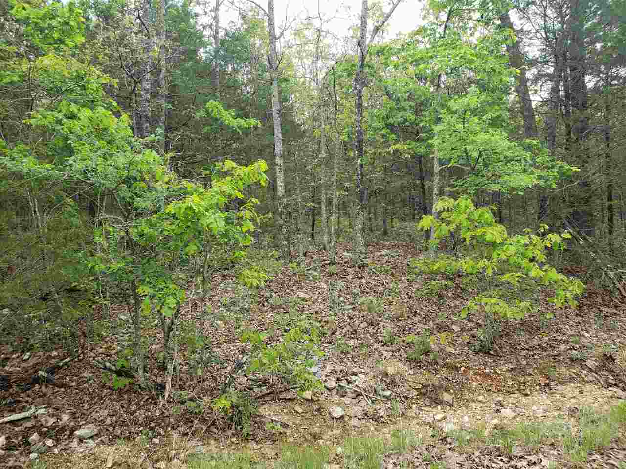 Photo 17 - Vacant Land for sale – L-9 B-10  Pahokee   Cherokee Village, AR