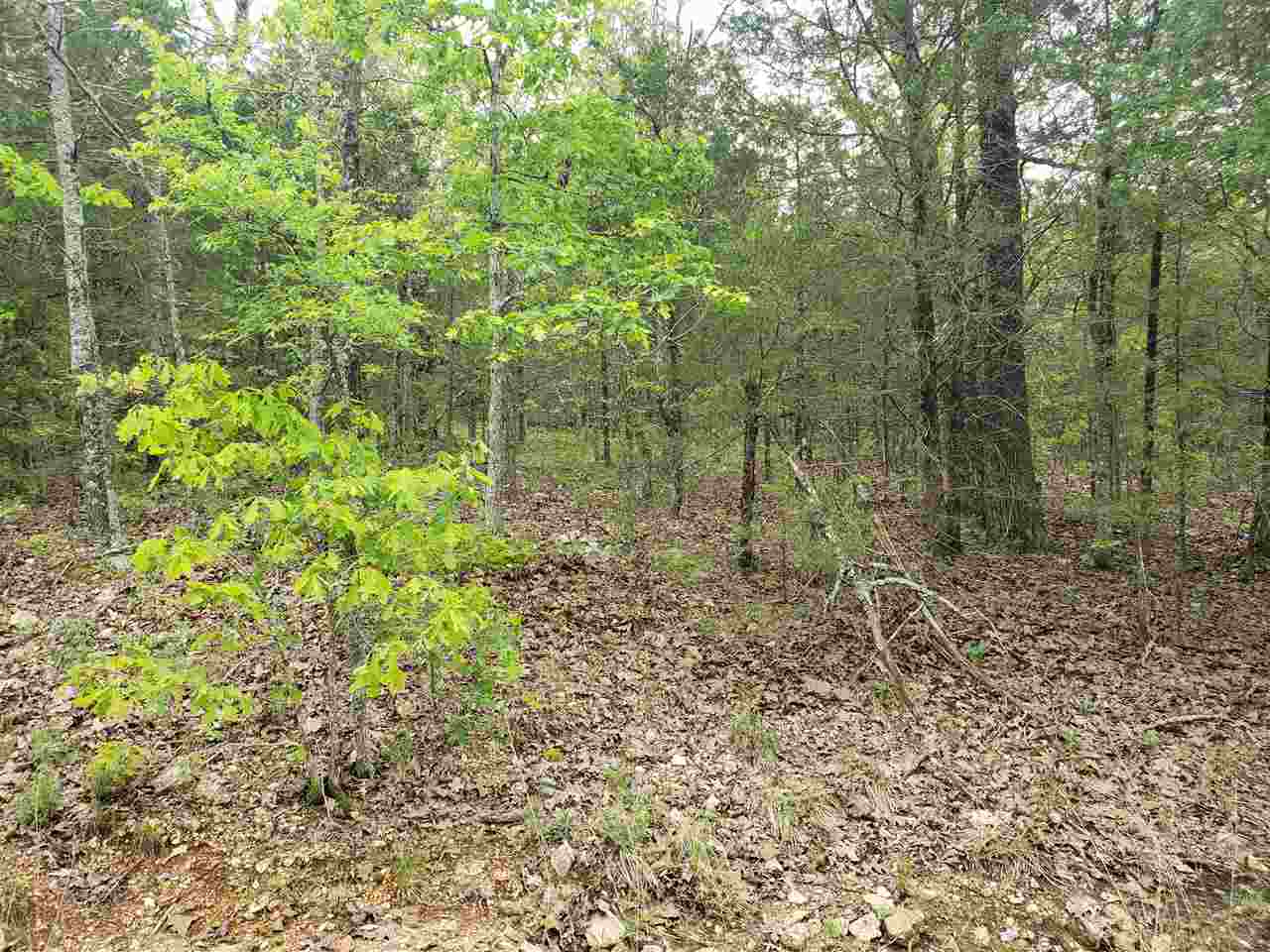 Photo 18 - Vacant Land for sale – L-9 B-10  Pahokee   Cherokee Village, AR
