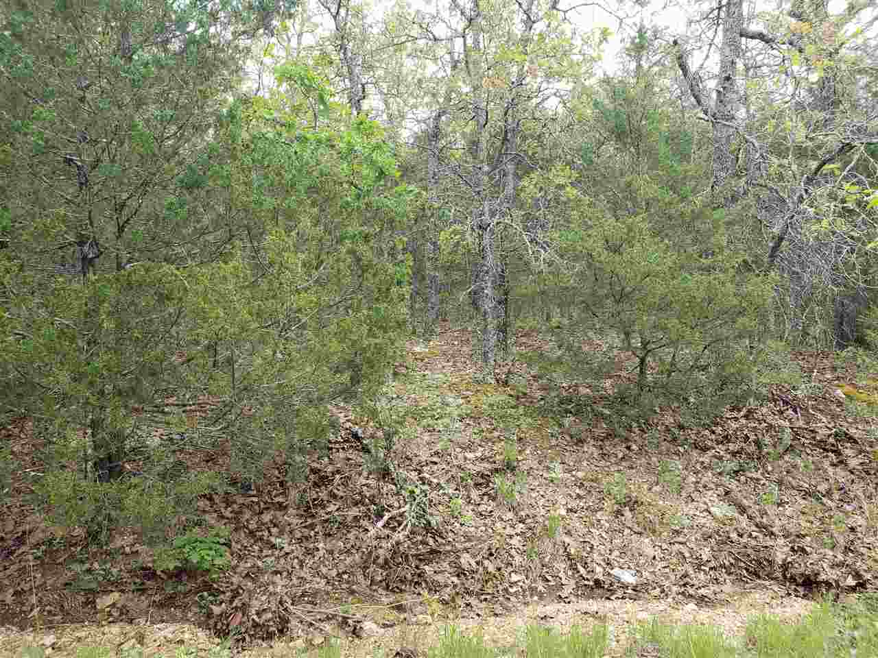 Photo 19 - Vacant Land for sale – L-9 B-10  Pahokee   Cherokee Village, AR