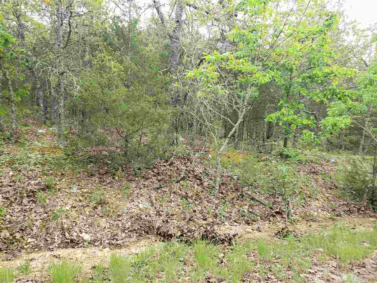 Photo 20 - Vacant Land for sale – L-9 B-10  Pahokee   Cherokee Village, AR
