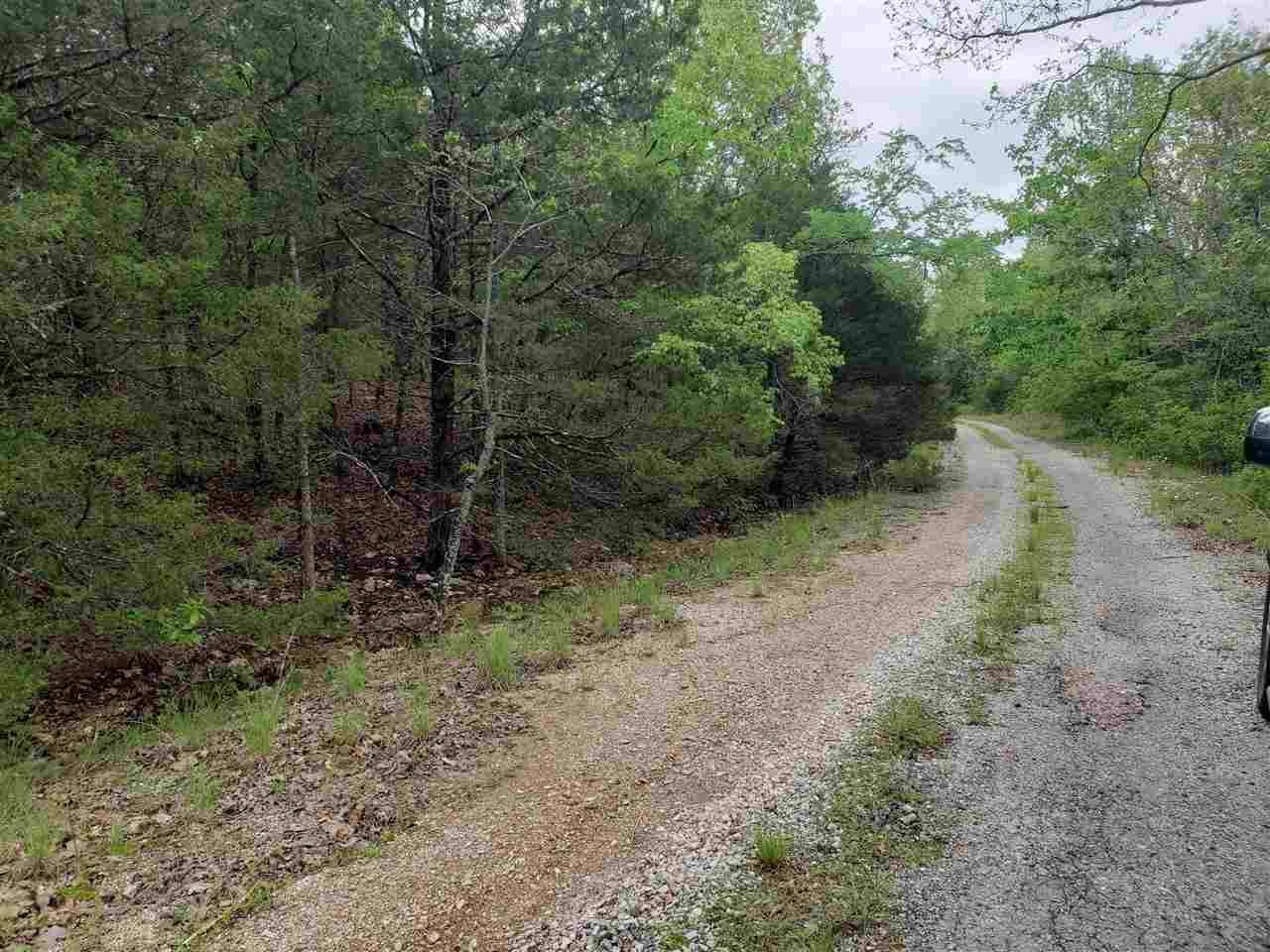 Photo 3 - Vacant Land for sale – L-9 B-10  Pahokee   Cherokee Village, AR