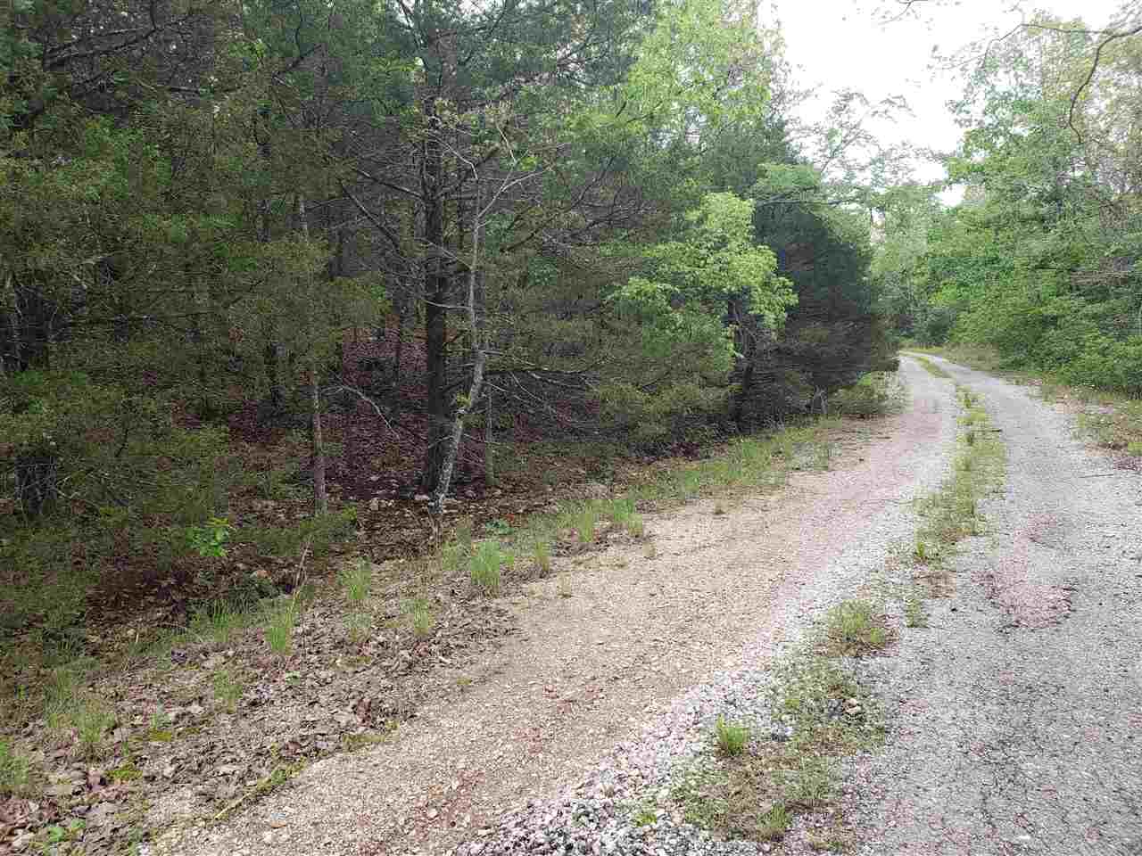 Photo 4 - Vacant Land for sale – L-9 B-10  Pahokee   Cherokee Village, AR