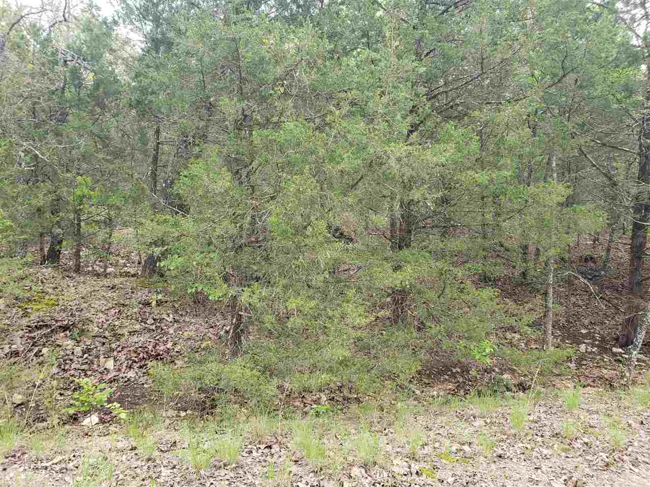 Photo 5 - Vacant Land for sale – L-9 B-10  Pahokee   Cherokee Village, AR