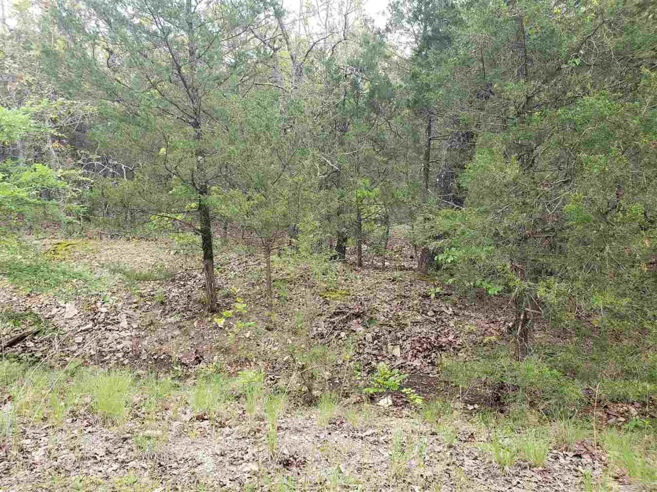 Photo 6 - Vacant Land for sale – L-9 B-10  Pahokee   Cherokee Village, AR