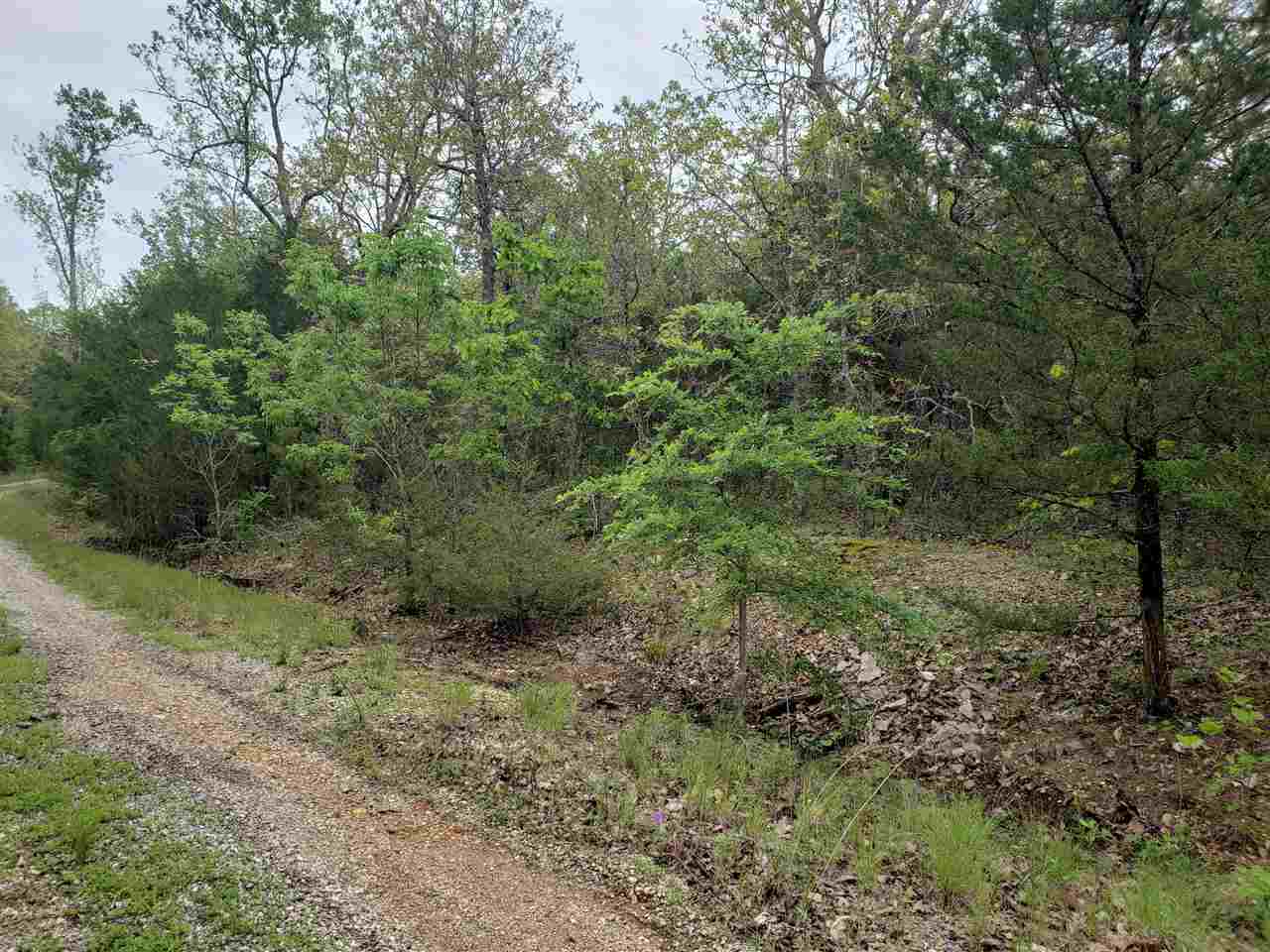 Photo 7 - Vacant Land for sale – L-9 B-10  Pahokee   Cherokee Village, AR
