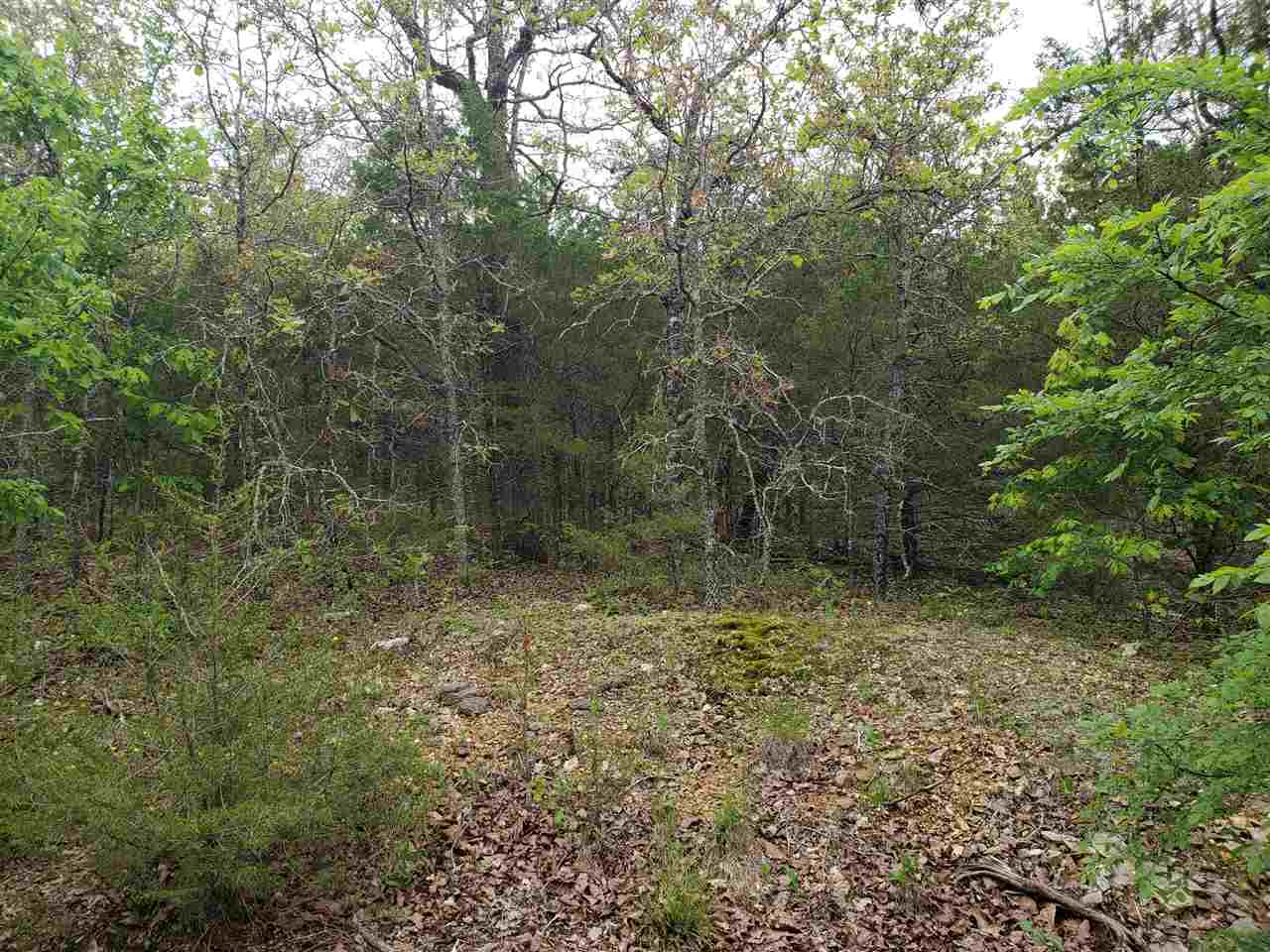 Photo 8 - Vacant Land for sale – L-9 B-10  Pahokee   Cherokee Village, AR
