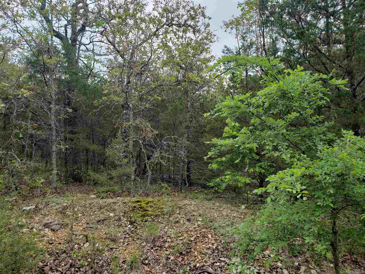 Photo 9 - Vacant Land for sale – L-9 B-10  Pahokee   Cherokee Village, AR