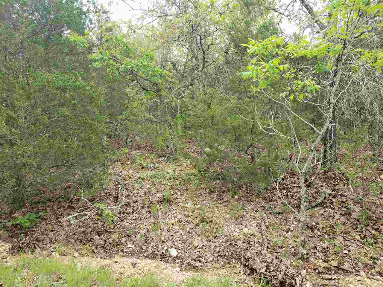 Photo 10 - Vacant Land for sale – L-9 B-10  Pahokee   Cherokee Village, AR