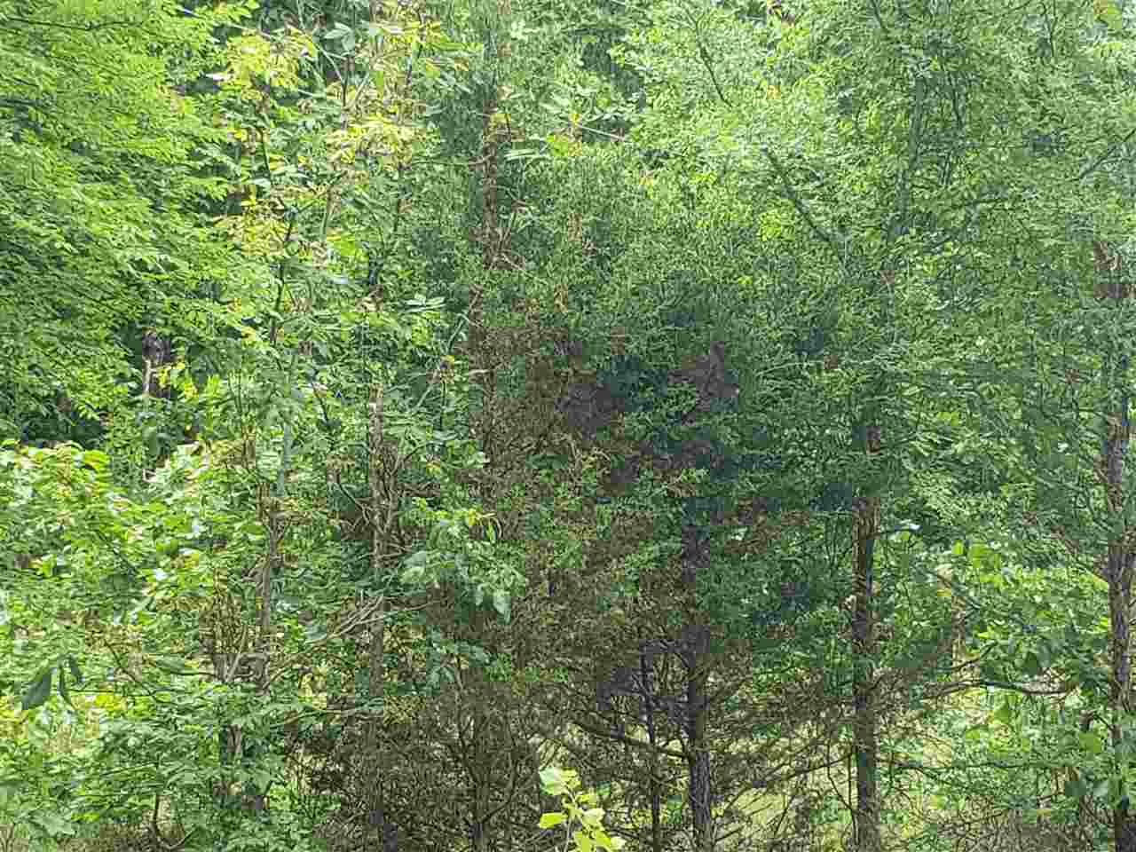 Photo 2 - Vacant Land for sale – L-21 B-9  Lochloosa   Cherokee Village, AR