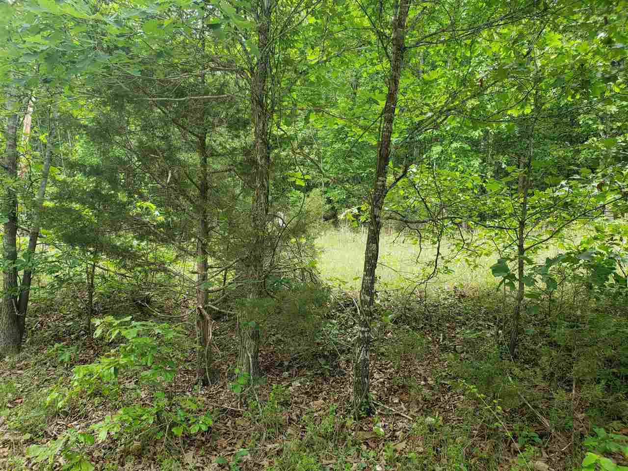 Photo 12 - Vacant Land for sale – L-21 B-9  Lochloosa   Cherokee Village, AR