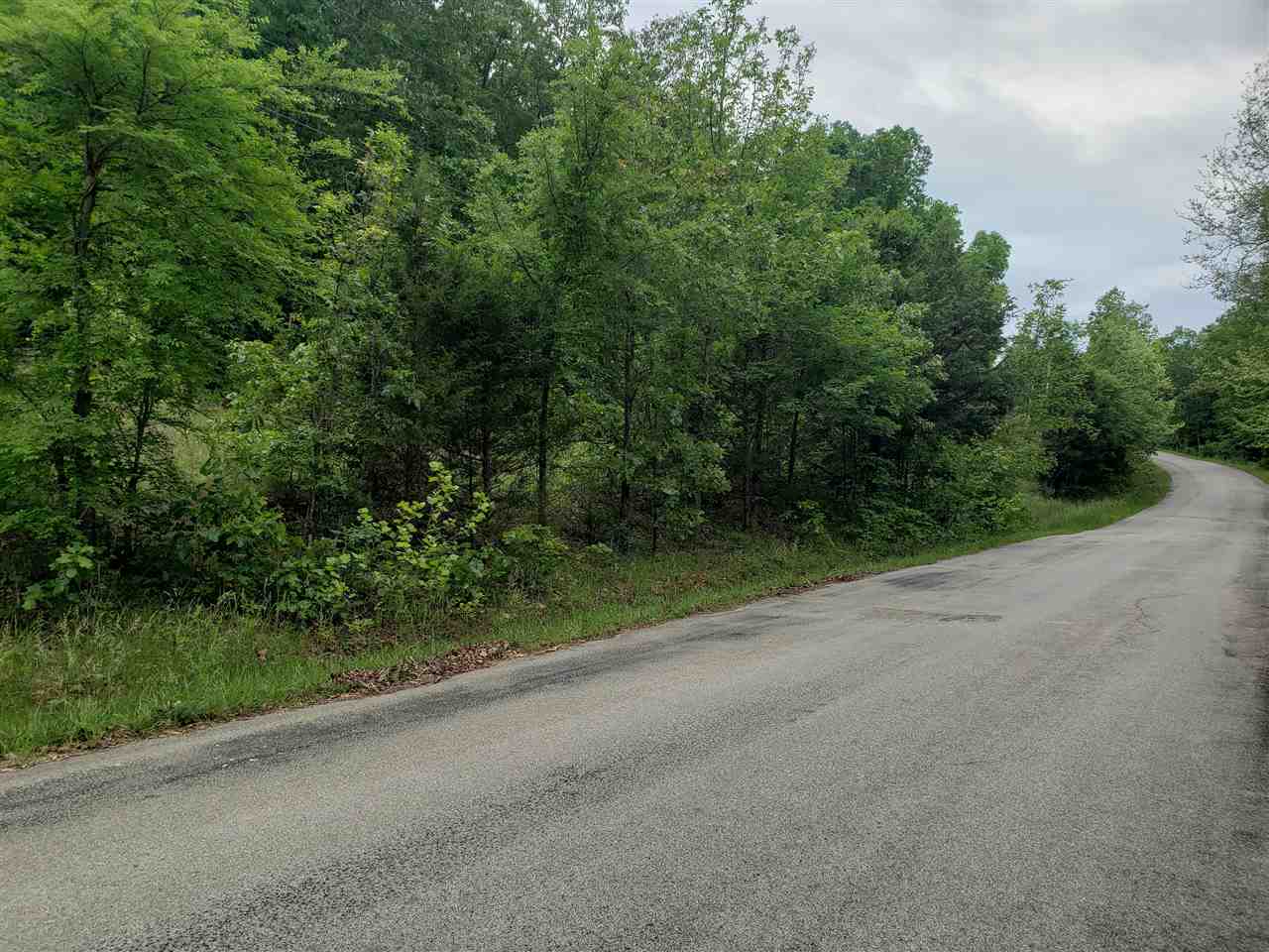Photo 3 - Vacant Land for sale – L-21 B-9  Lochloosa   Cherokee Village, AR