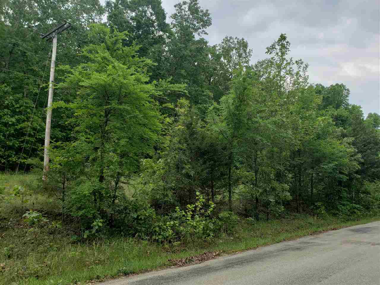 Photo 4 - Vacant Land for sale – L-21 B-9  Lochloosa   Cherokee Village, AR