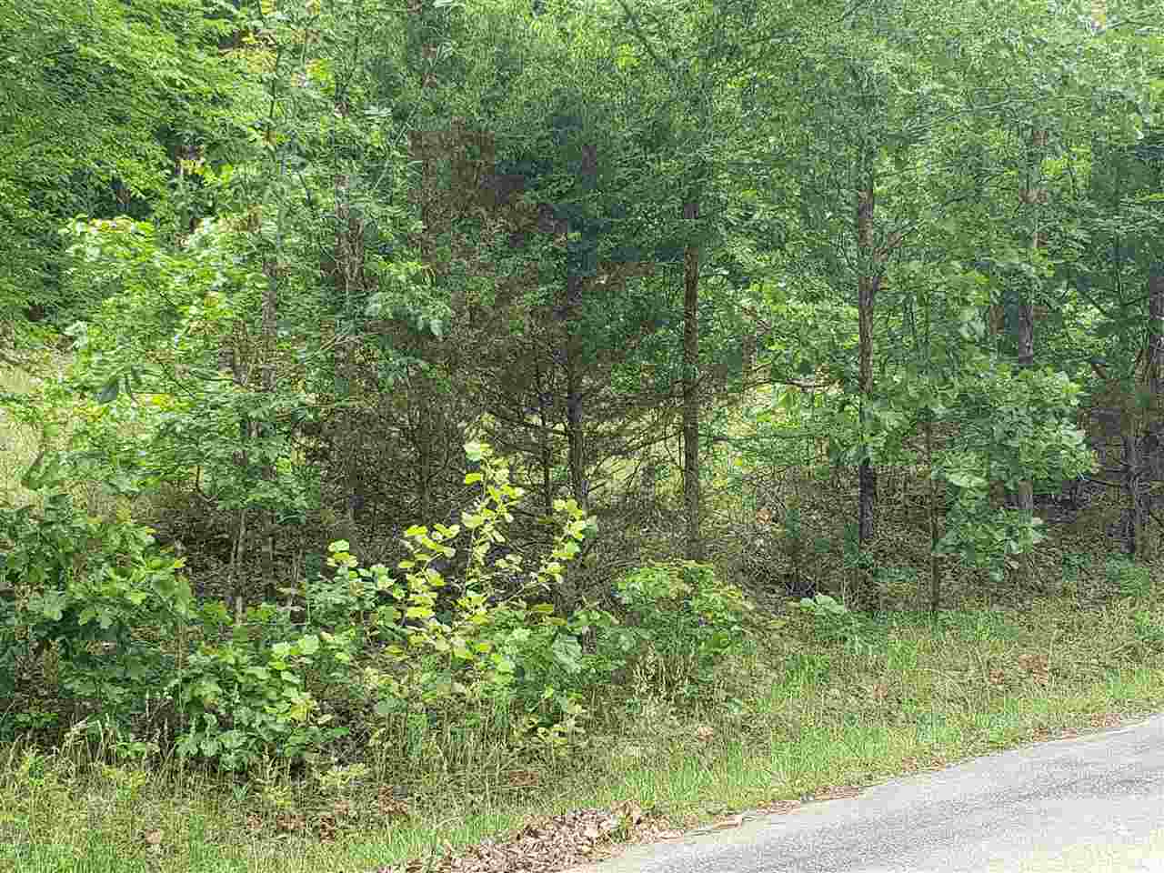 Photo 5 - Vacant Land for sale – L-21 B-9  Lochloosa   Cherokee Village, AR