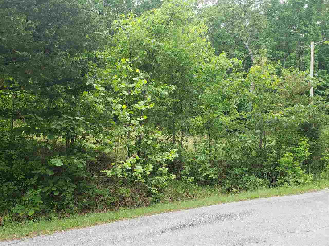 Photo 6 - Vacant Land for sale – L-21 B-9  Lochloosa   Cherokee Village, AR