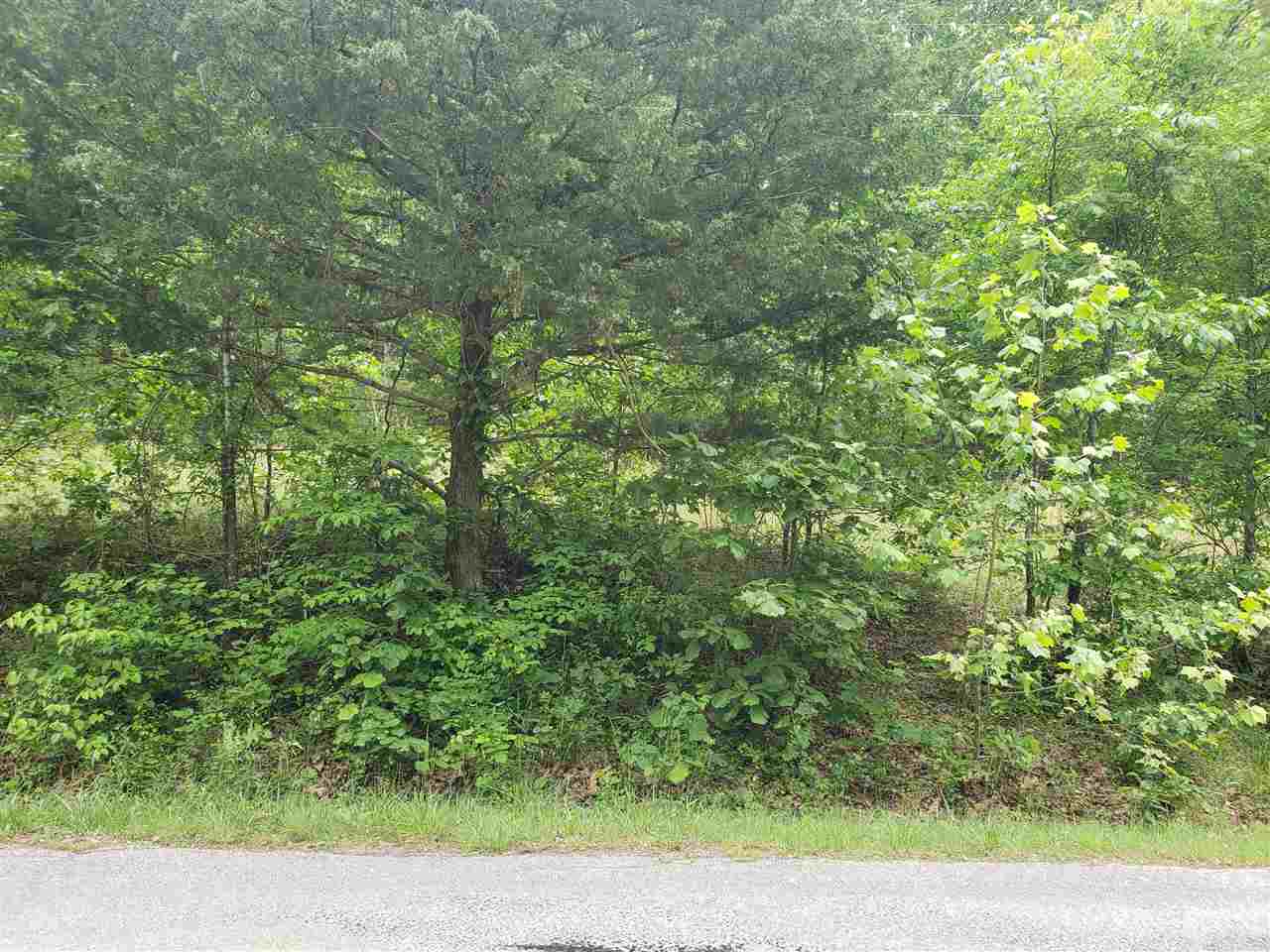 Photo 7 - Vacant Land for sale – L-21 B-9  Lochloosa   Cherokee Village, AR