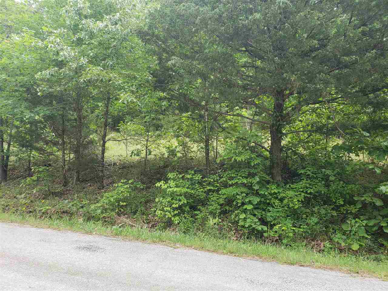 Photo 8 - Vacant Land for sale – L-21 B-9  Lochloosa   Cherokee Village, AR