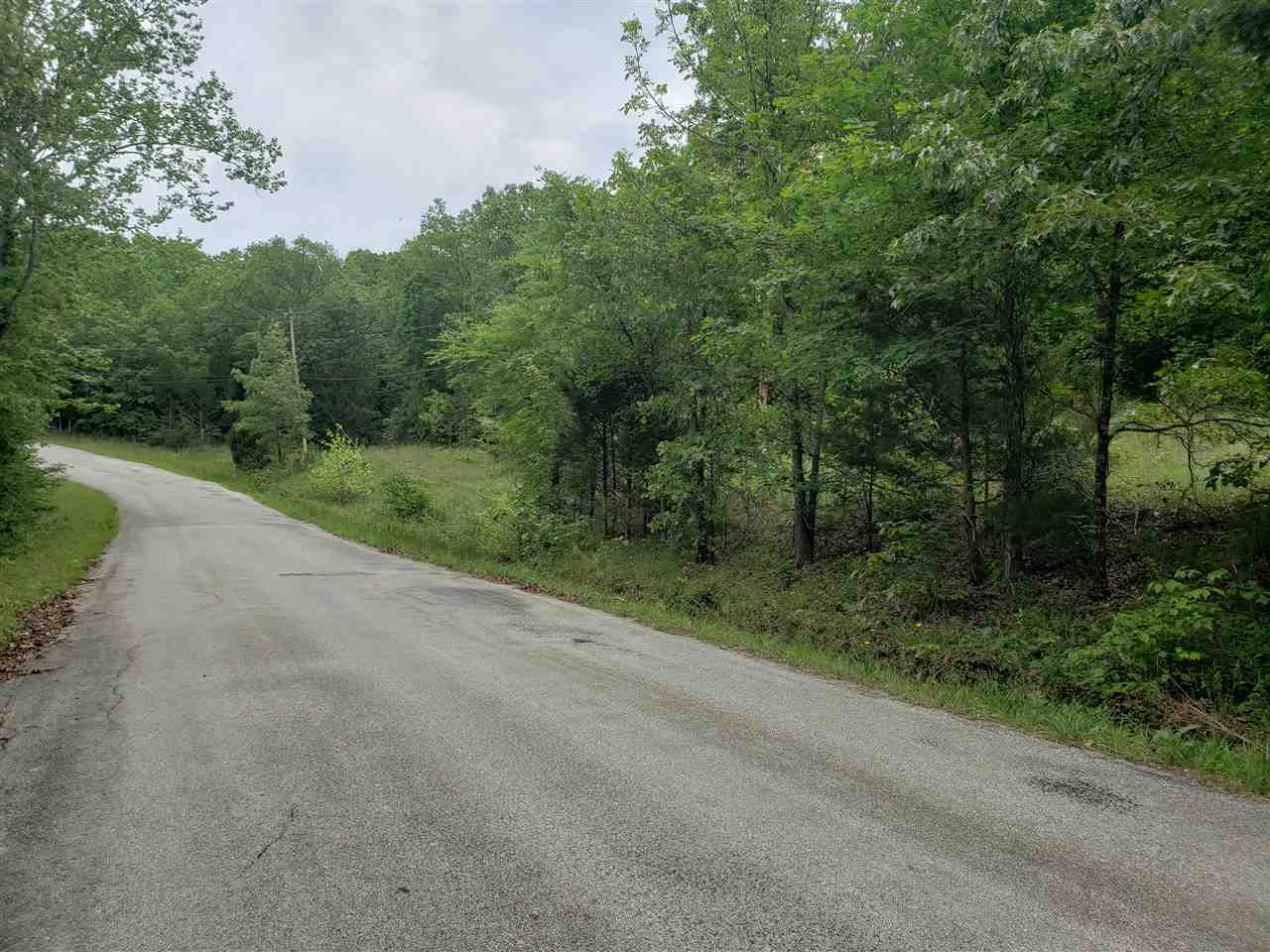 Photo 9 - Vacant Land for sale – L-21 B-9  Lochloosa   Cherokee Village, AR