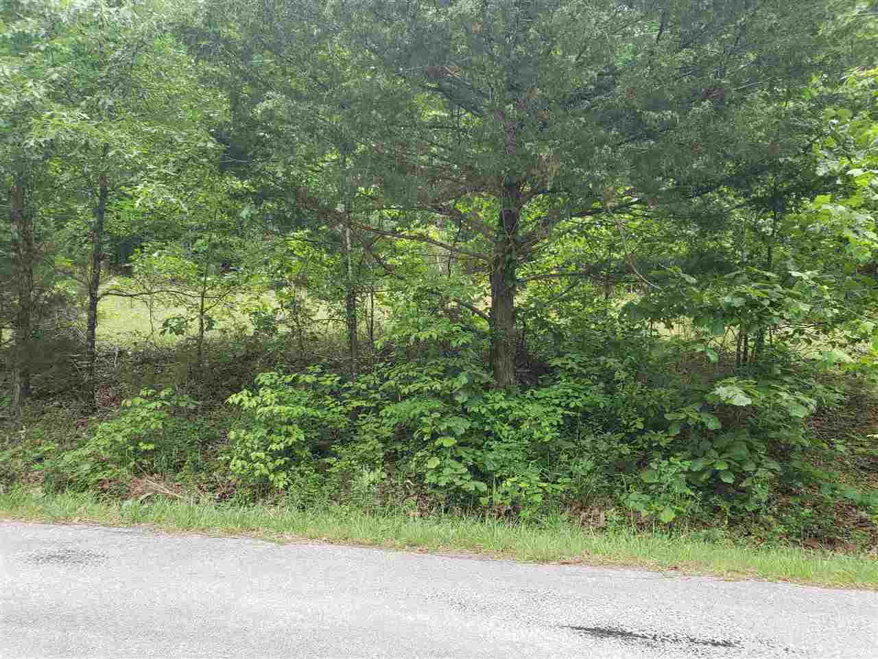 Photo 10 - Vacant Land for sale – L-21 B-9  Lochloosa   Cherokee Village, AR