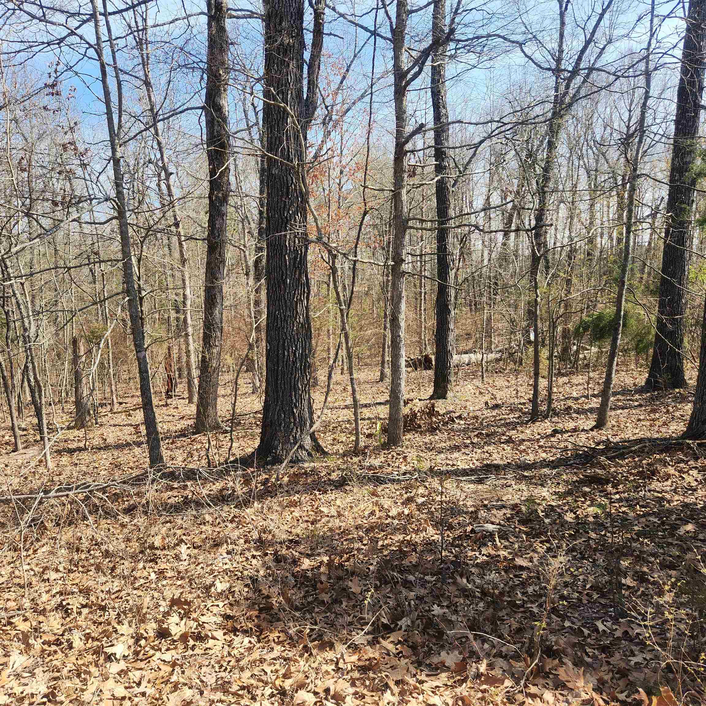 Photo 6 - Vacant Land for sale – L-7, B-29  Miccosukee   Cherokee Village, AR