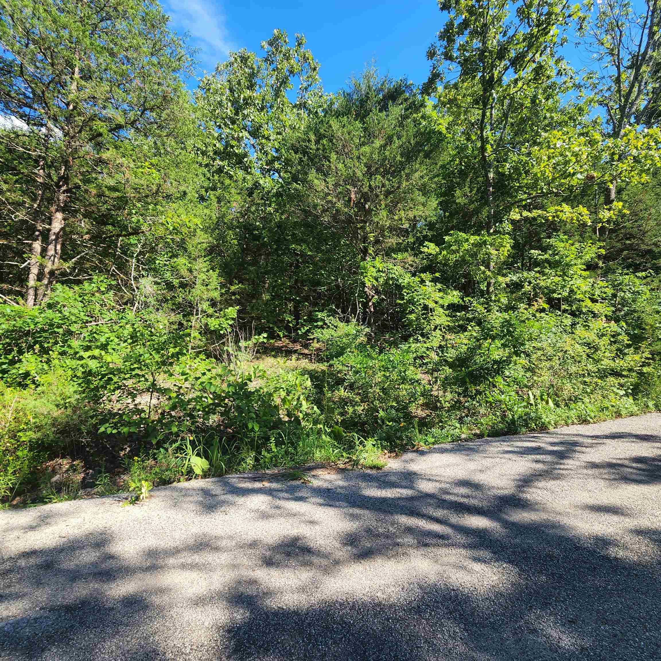 Vacant Land for sale – L-12 B-8  Choctaw   Cherokee Village, AR