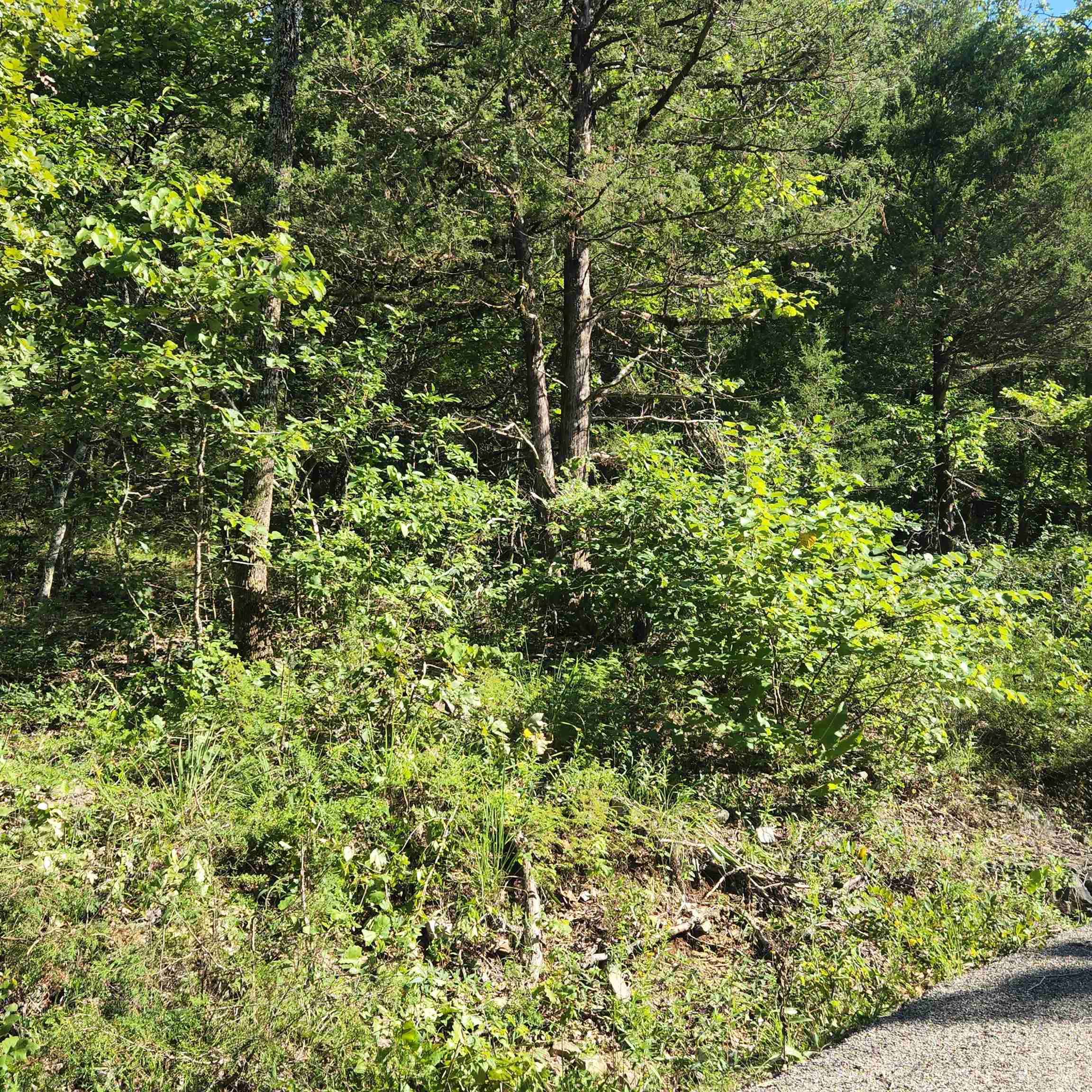 Photo 2 - Vacant Land for sale – L-12 B-8  Choctaw   Cherokee Village, AR