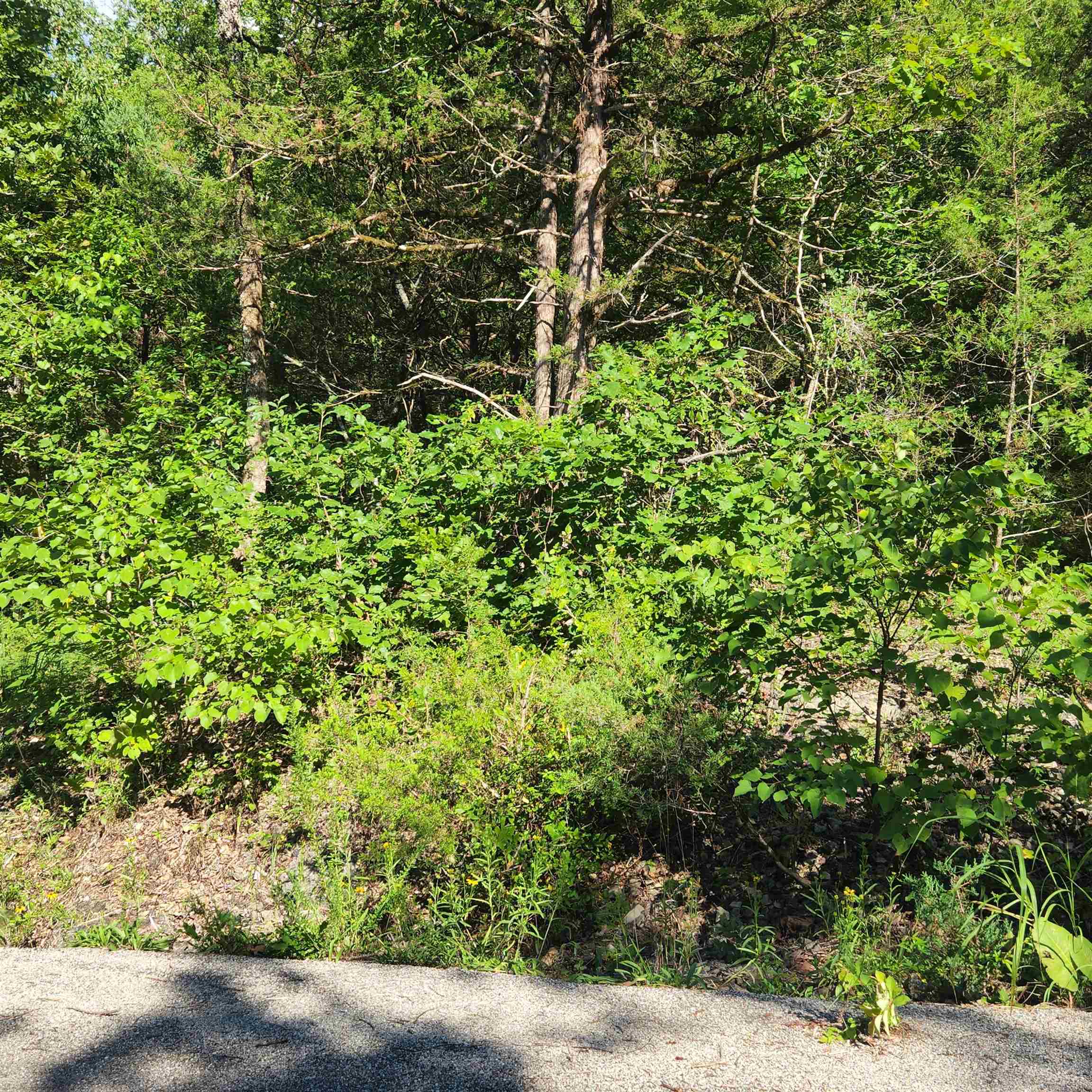 Photo 12 - Vacant Land for sale – L-12 B-8  Choctaw   Cherokee Village, AR